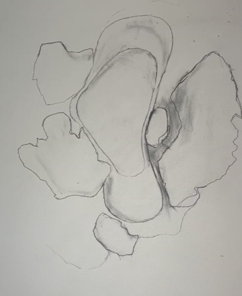 Process: refined sketch
